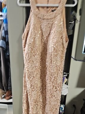 Roz & Ali Blush Lace Sequin High Neck Dress- Fully Lined